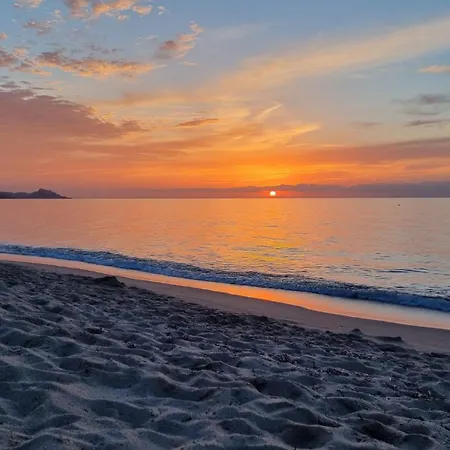 Casa Con Terrazza Nella Pineta