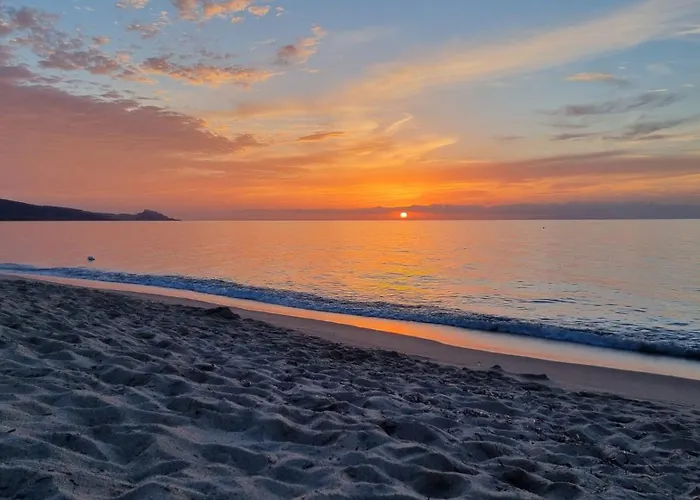 Casa Con Terrazza Nella Pineta